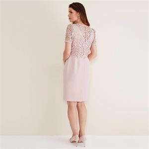 Phase Eight Isabella Lace Dress